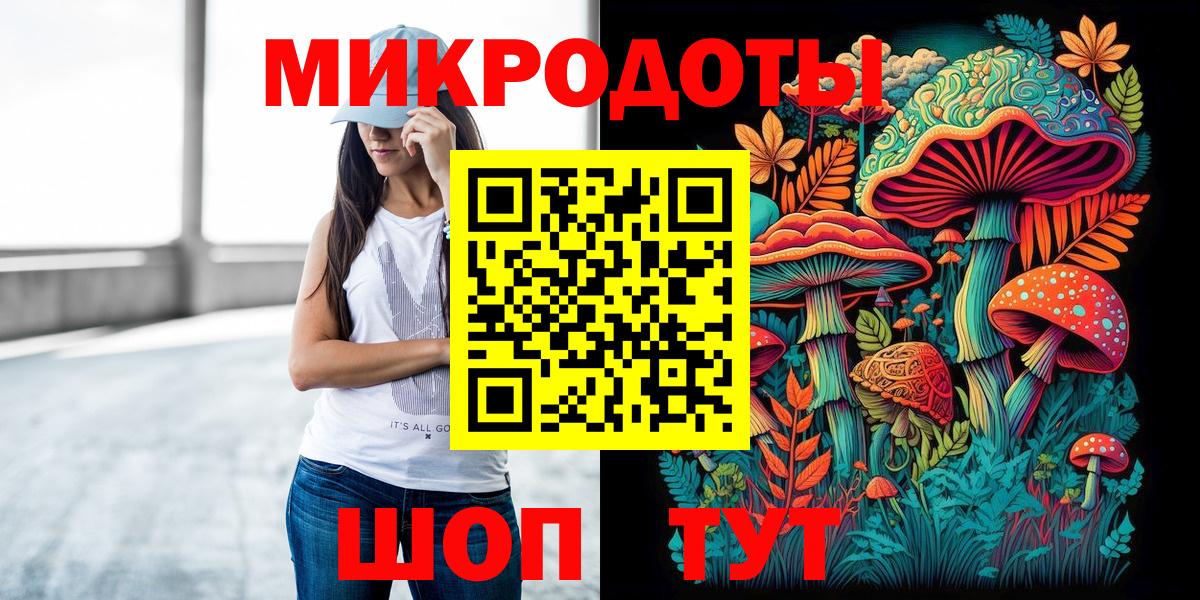 Псилоцибиновые грибы Psilocybine cubensis Тобольск