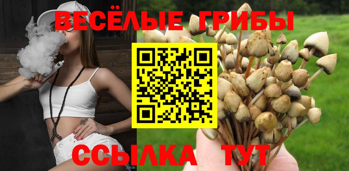 Псилоцибиновые грибы MAGIC MUSHROOMS  Псилоцибиновые грибы Psilocybe  Тобольск  Вход с VPN 